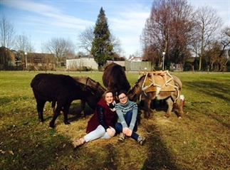 Wandelen met ezels in het Heuvelland: zo cute!