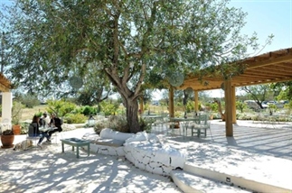 10x food hotspots Ibiza