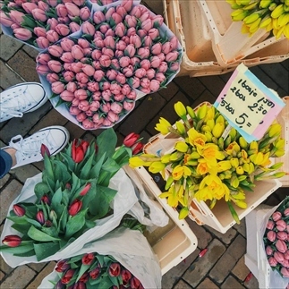 5 Tips voor een Fantastische Nederlandse Lente