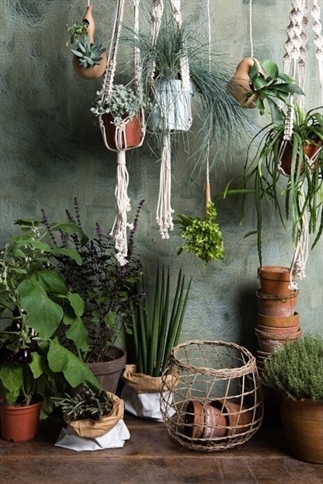 8 x urban jungle in je interieur