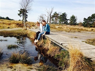 De magie van de lente op de Brunssummerheide