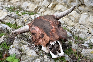 El Toscar, grotten, watervallen en een halve stier