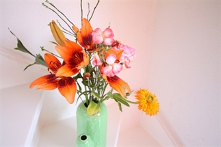 Ervaringen met bloomon