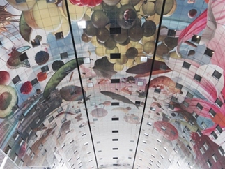 Hotspot: Markthal, Rotterdam