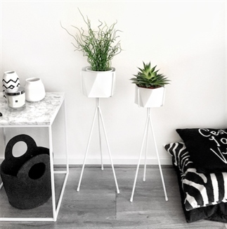 INTERIEUR - MUST HAVE PLANTENHOUDERS