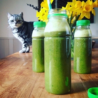 Ontgiftend Detox sap! Recept met tomaat en venkel