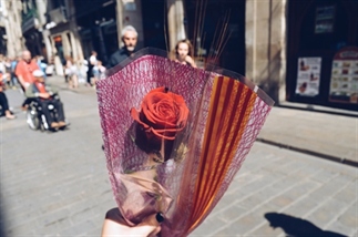 Sant Jordi: de leukste dag in Barcelona!