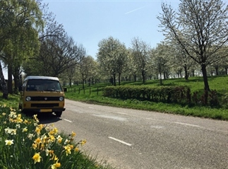 Ultieme lente-activiteit: Bloesemtocht rijden