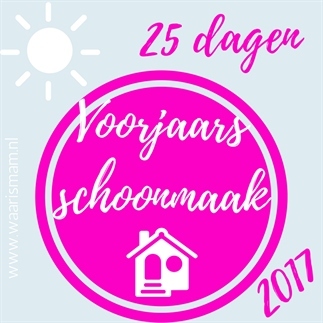 VOORJAARSSCHOONMAAK 25 DAGEN CHALLENGE