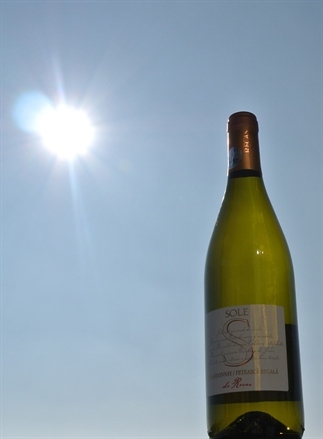 Wijn uit Roemenië, perfect voor in de zon!