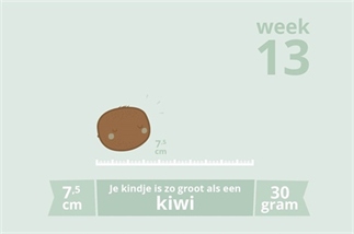 Zwangerschapsupdate week 13