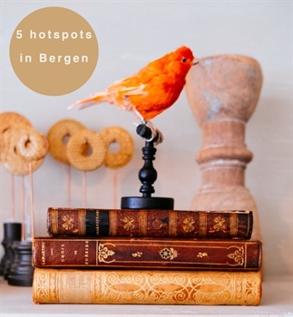 5 Leuke hotspots in Bergen