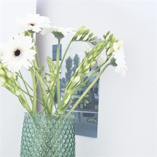Haal groen in huis!