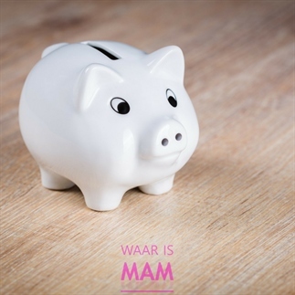 Hoe je kinderen leert om geld te sparen en waarom