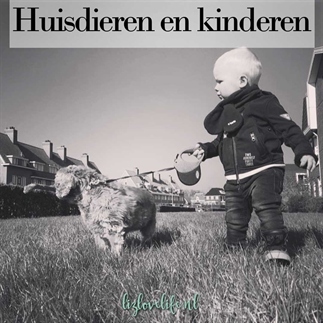 Huisdieren en kinderen