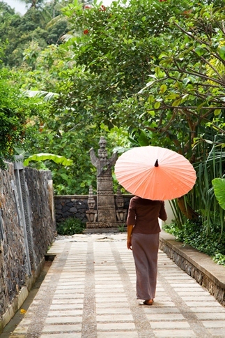 Luxe rondreis Bali: het onontdekte noorden