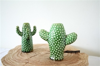 Mini cactus vaas, blikvanger in huis