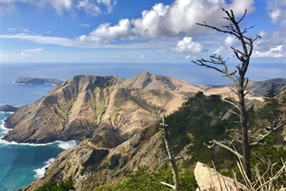 Porto Santo, het gouden eiland naast Madeira