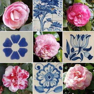 Porto: stad van azulejos en camelia's