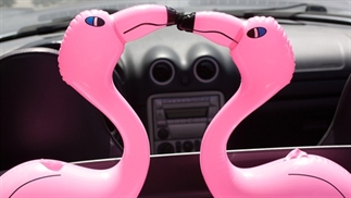 Primark heeft nu spotgoedkope inflatables