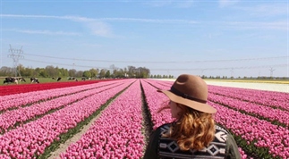 Zo mooi is het Tulpenfestival in Flevoland