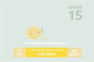 Zwanger en een auto ongeluk...
