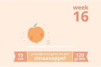 Zwangerschapsupdate | We krijgen een ....