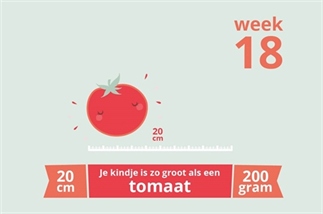 Zwangerschapsupdate week 18