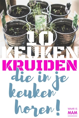 10 Keukenkruiden Die In Je Keuken Horen