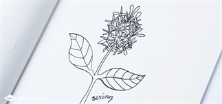 31 Dagen bloemen #2