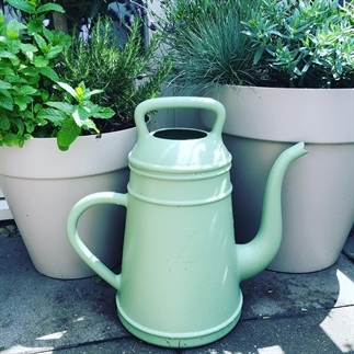 Buitenleven | 6x tips tuinplanten water geven