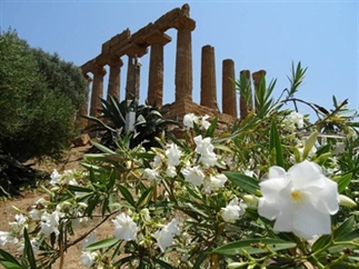 Een hete dag in Agrigento