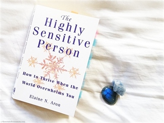 HSP Herkenning in The Highly Sensitive Person