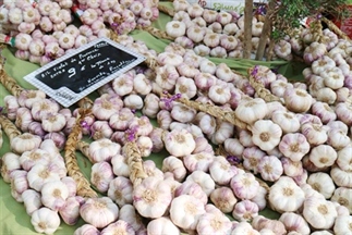 Rondstruinen op de markt in het pittoreske Aups