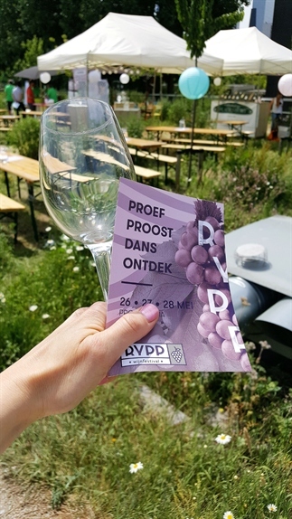 Rypp wijnfestival: een geslaagde eerste editie!