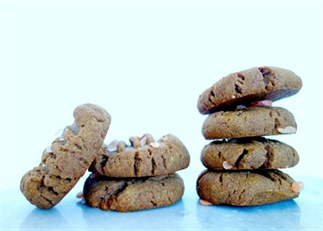 Vegan sea salted speculoos koekjes