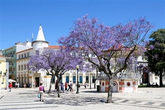Verrassing: zo rustig kan de Algarve ook zijn!
