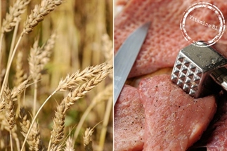 Vitamine B1, wat is het en wat doet het?
