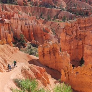 Wandelen in Bryce Canyon