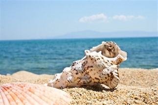 5 Musthaves voor een dagje strand