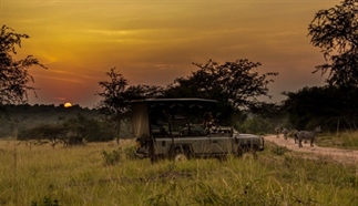 5 praktische tips voor jouw safari in Afrika