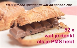 52 x wat je denkt als je PMS hebt