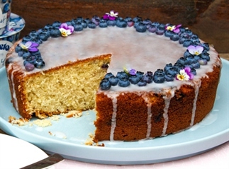 Blauwe bessen yoghurt cake