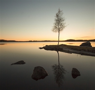 De magische natuur in Västerbotten, Zweeds Lapland
