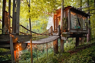 Dit is de meest populaire boomhut op Airbnb
