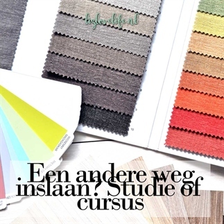 Een andere weg inslaan? Studie of cursus