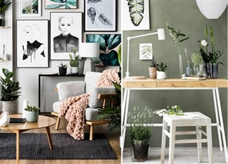 Geen groene vingers?Zo krijg je de botanische look