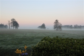 Genieten en ontspannen in Friesland