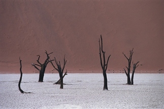 Namibië in beeld