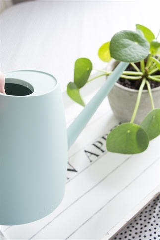 Plantjes water geven in stijl
